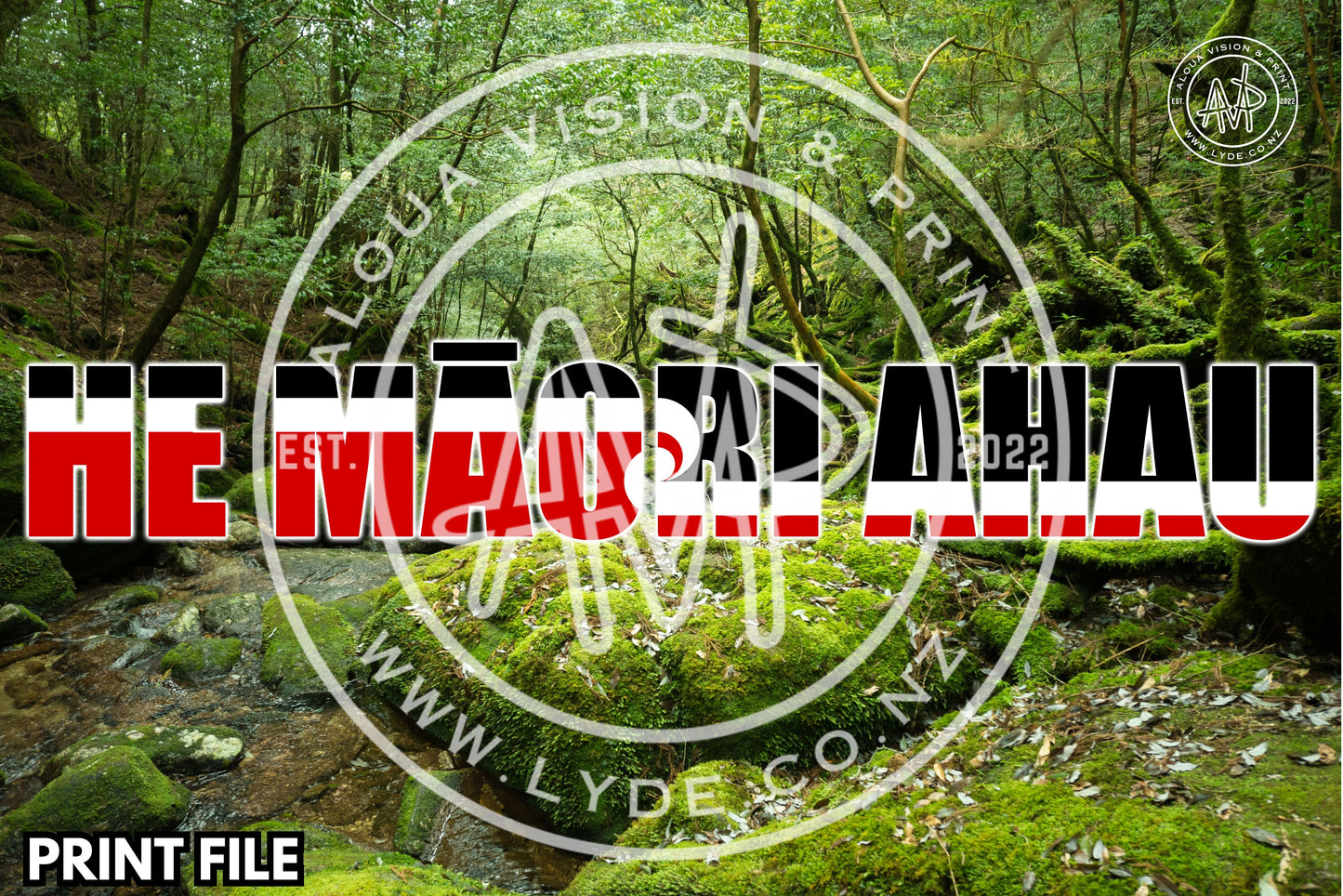 He Māori Ahau Hoodie (Adults) Aloua Vision & Print