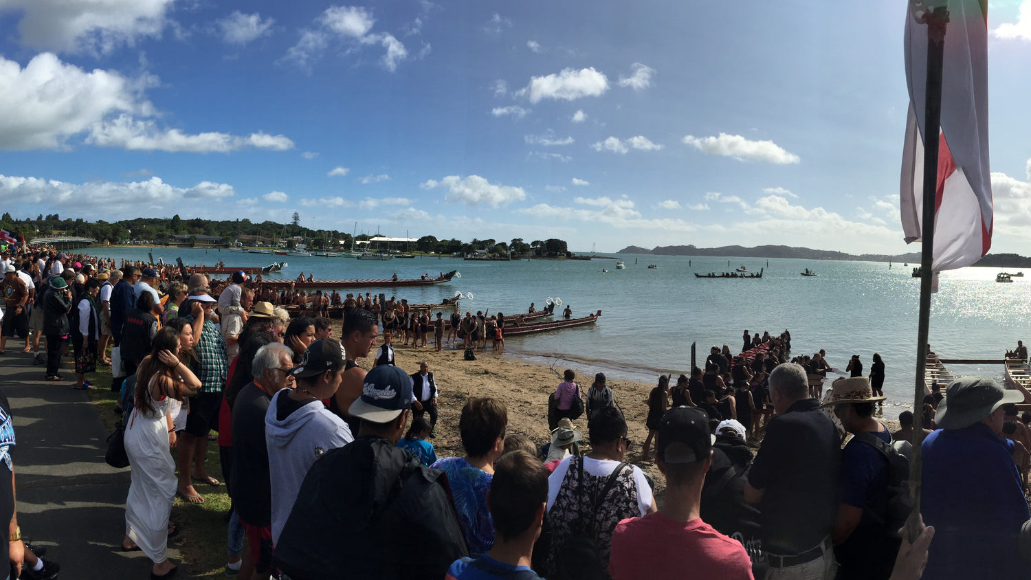 Waitangi Day Special