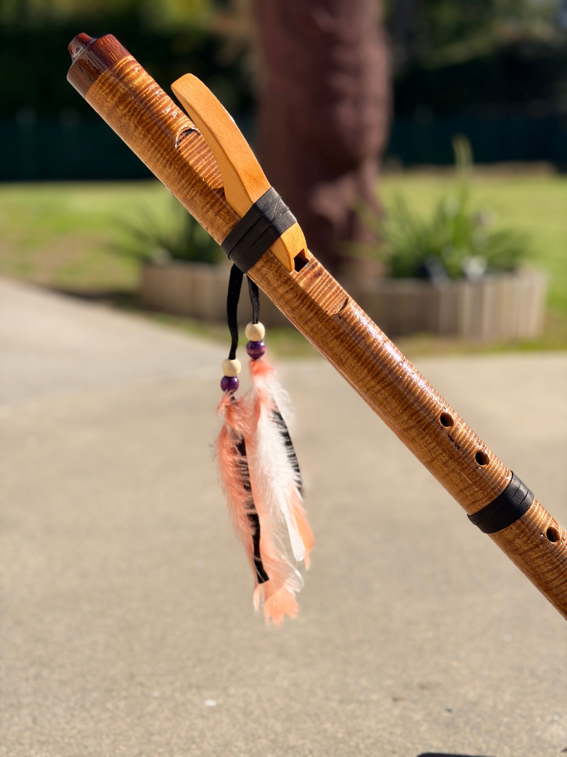 Flute Two (Tiger Maple) Aloua Vision & Print