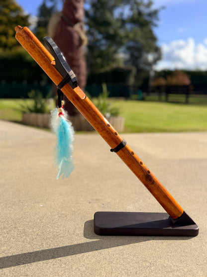 Flute Eleven (Sunset Pine) Aloua Vision & Print